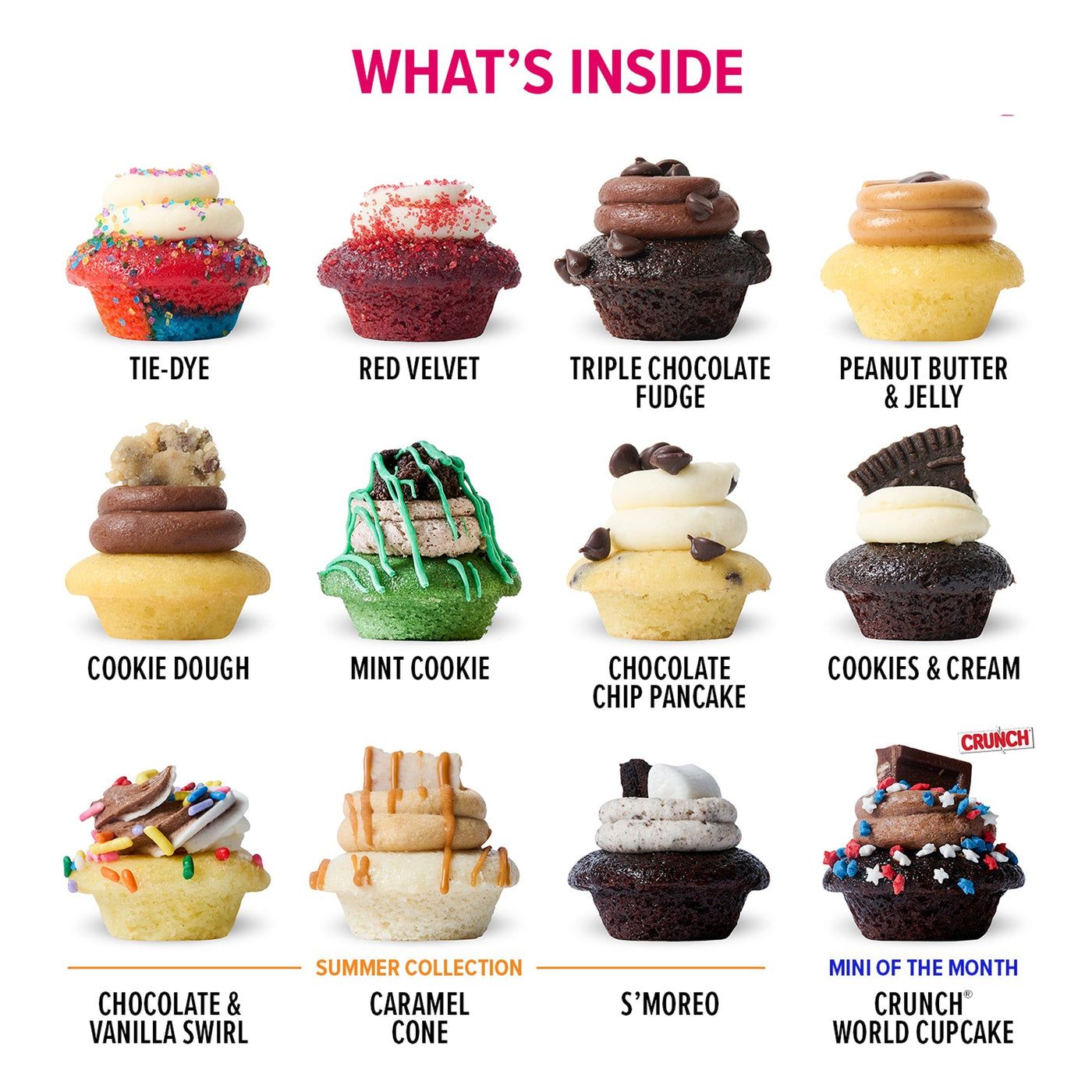 Gemini Cupcakes 25-Pack